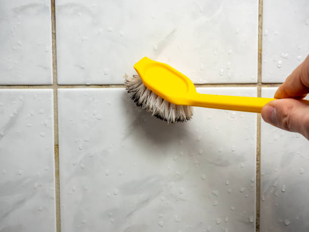 Best Home Mold Removal  in Boyes Hot Springs, CA